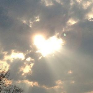 Meet your Posher, Pedro